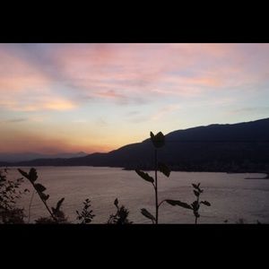 Meet your Posher, Alisha